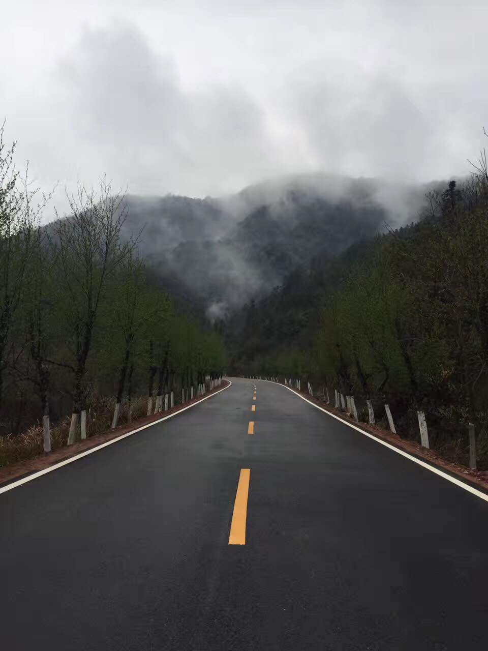 前往鄣山村的公路美景