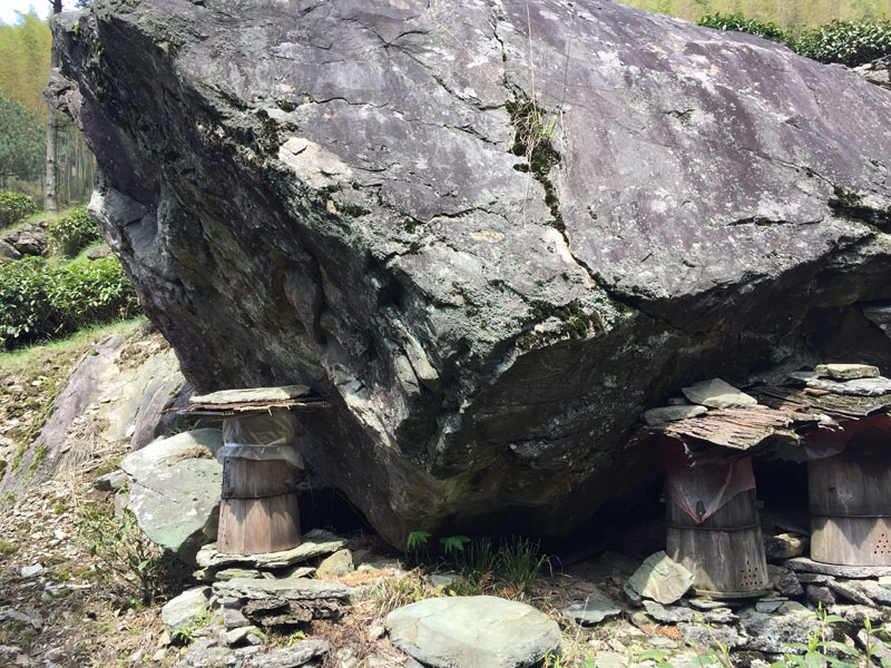 婺源土蜂蜜鄣山顶