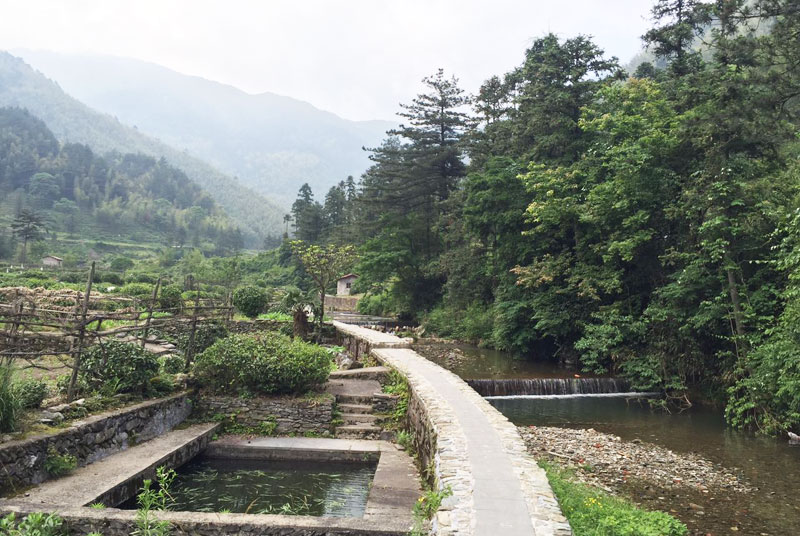 鄣山村冷水鱼塘