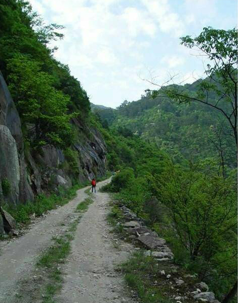 鄣山村公路老照片