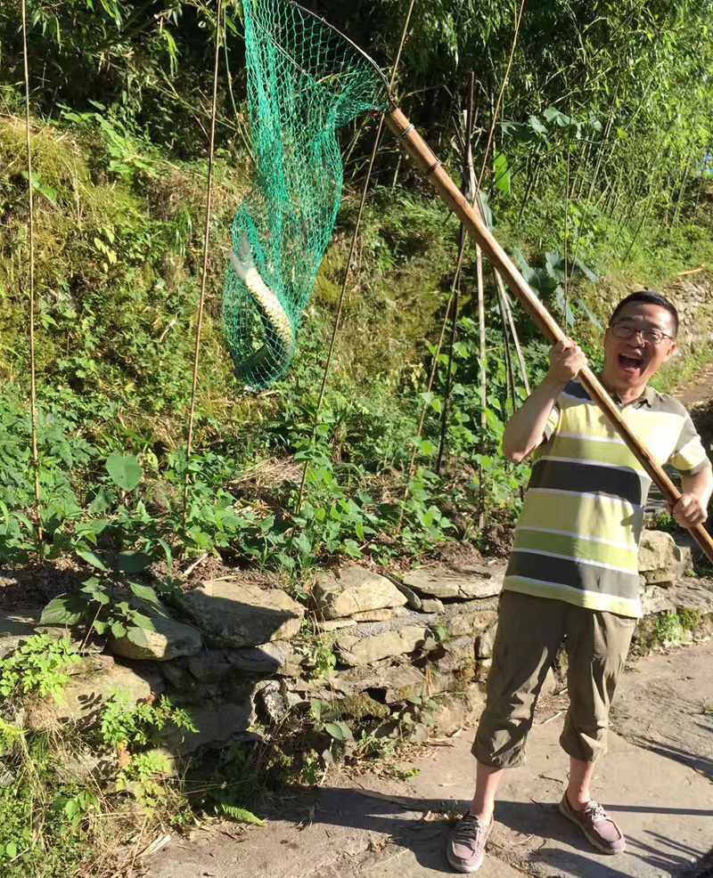 在鄣山村捞冷水塘鱼